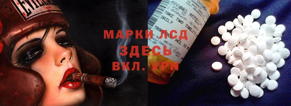 прущий лед Алзамай