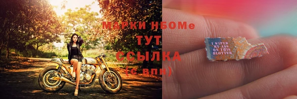 прущий лед Алзамай