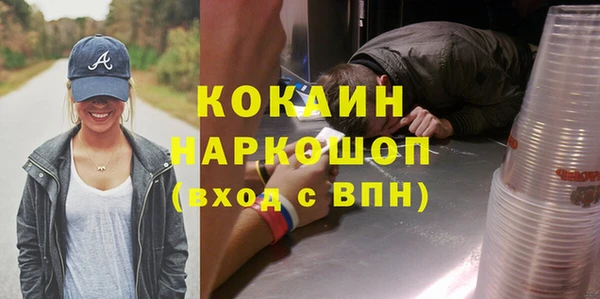 прущий лед Алзамай