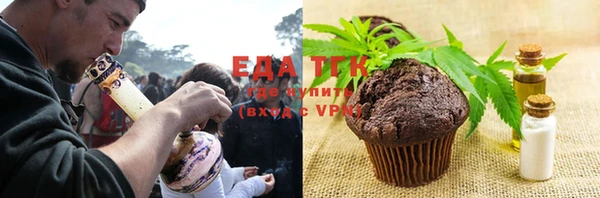 прущий лед Алзамай