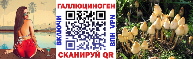 Галлюциногенные грибы GOLDEN TEACHER  Фатеж 
